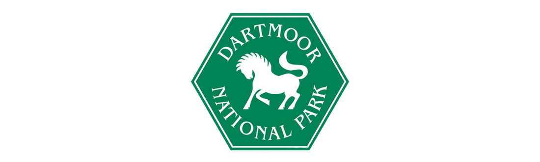 5 Best Family Spots: Dartmoor National Park