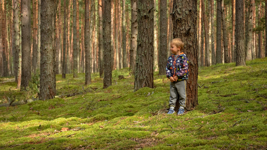 How Do GPS Watches Help in Reuniting Lost Children With Their Parents Quickly? 