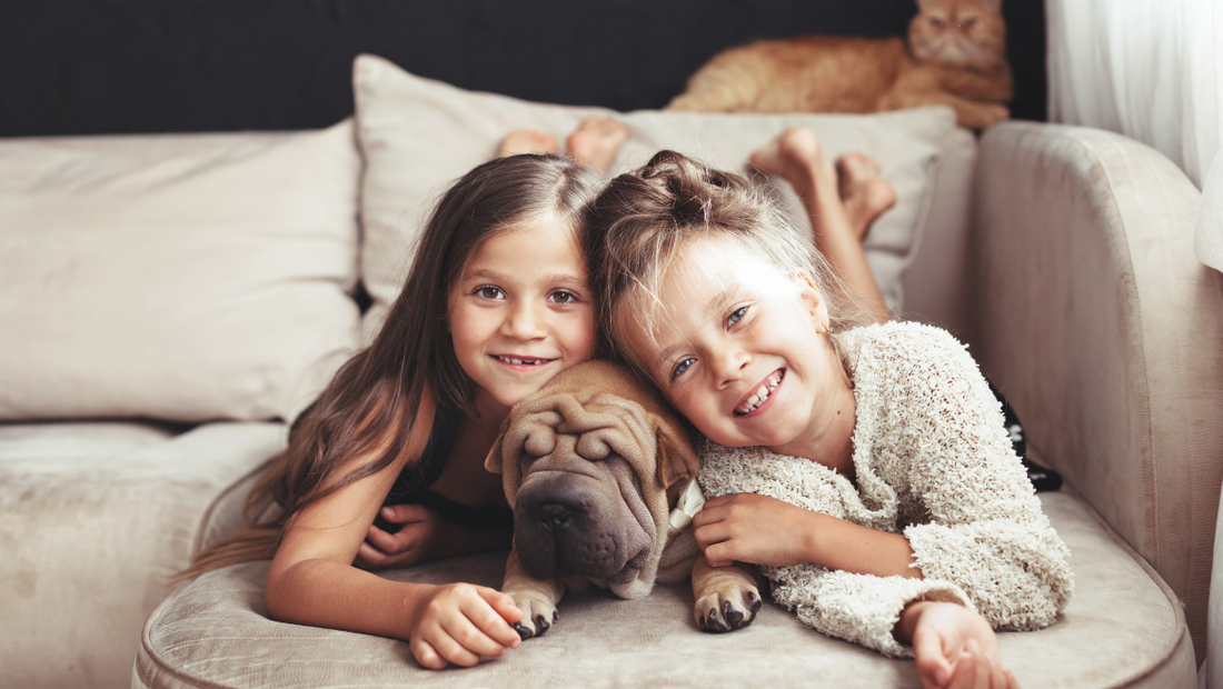 How to Safely Introduce Pets to Young Children: Tips for a Positive Experience