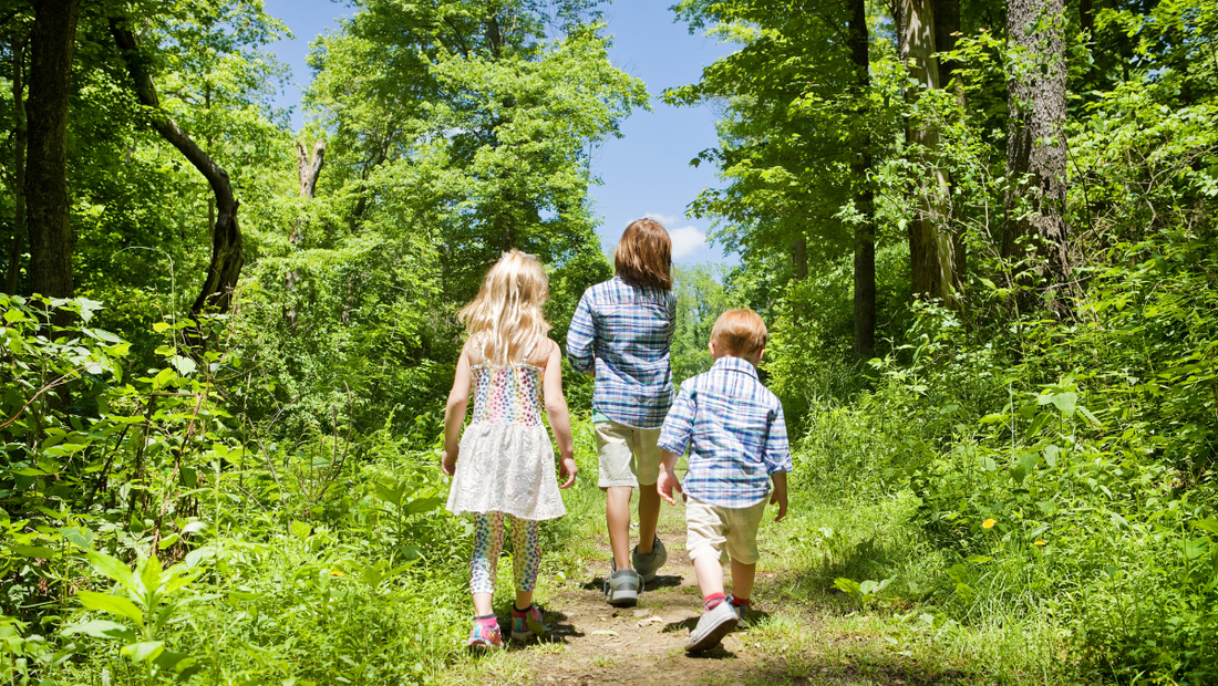 Sibling Safety: How to Track Multiple Children With One App